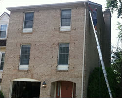 Bat exclusion in Fairfax VA